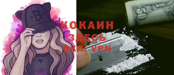 дурь Шали