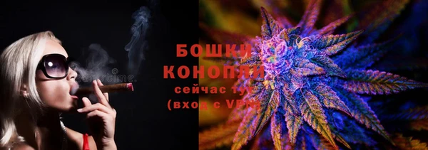 крисы Шарыпово
