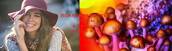 крисы Шарыпово