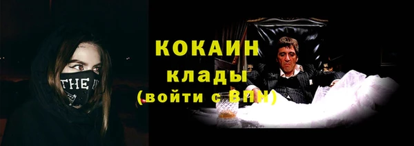 дурь Шали