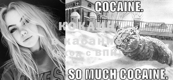 дурь Шали