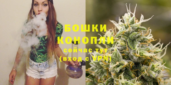 спиды Шадринск