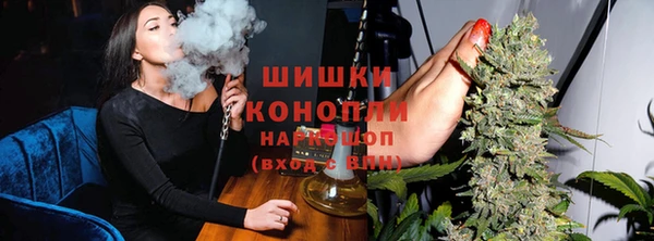крисы Шарыпово