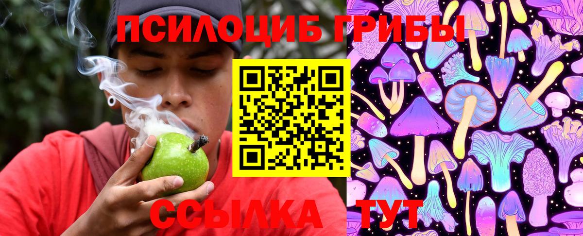 Псилоцибиновые грибы GOLDEN TEACHER Миасс