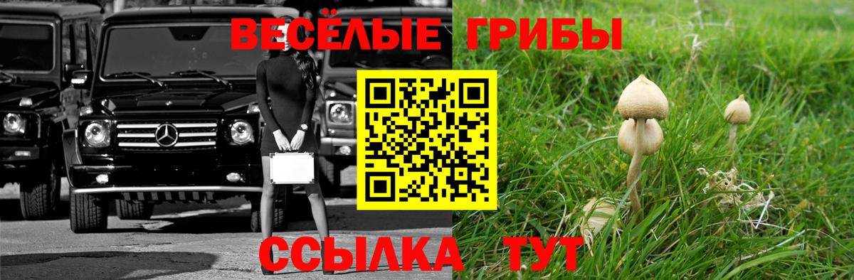 Миасс  Галлюциногенные грибы Psilocybine cubensis  Вход с VPN 